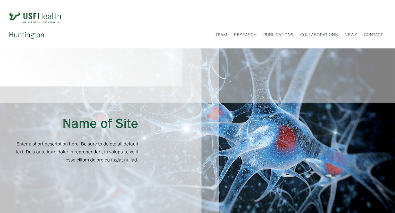 USF Huntington screenshot