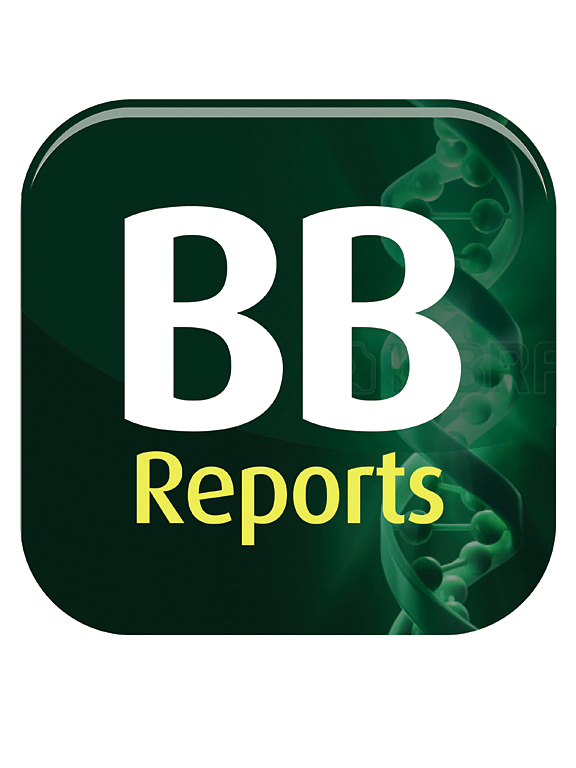 BBR