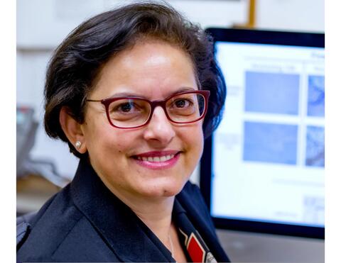 Image of Dr. Hana Totary-Jain