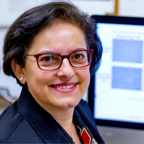 Image of Dr. Hana Totary-Jain