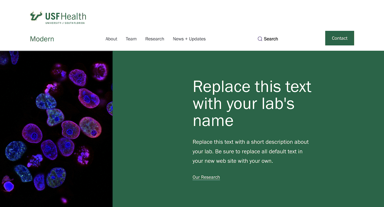 USF Modern Lab screenshot
