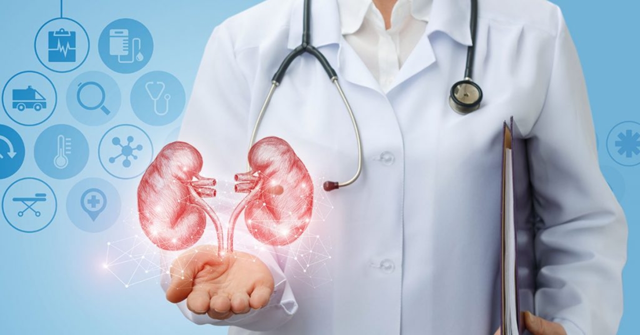 nephrology image