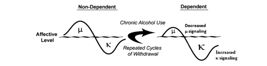 Opponent process Opioid